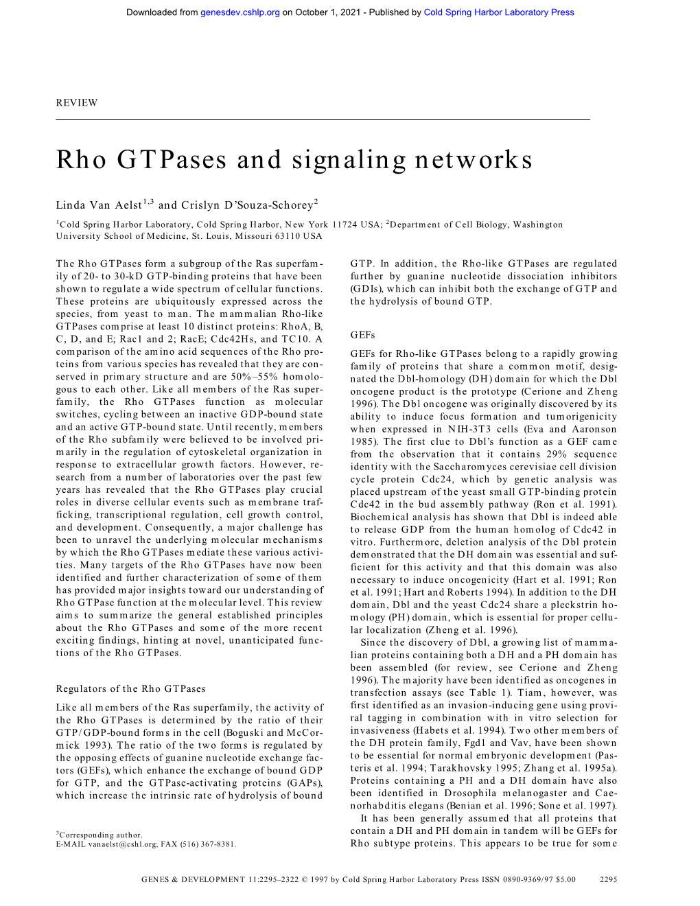 Rho Gtpases and Signaling Networks
