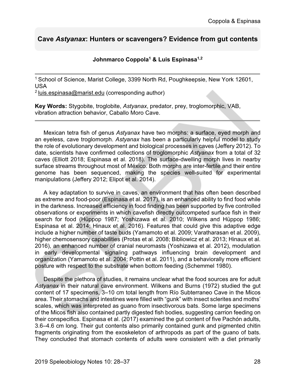 Cave Astyanax: Hunters Or Scavengers? Evidence from Gut Contents