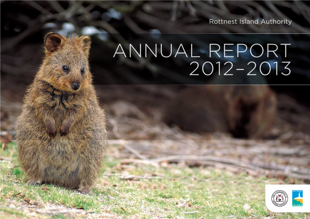 Annual Report: 2012–2013 PDF 3.29 MB