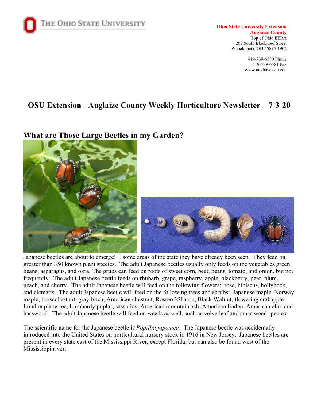 Auglaize County Weekly Horticulture Newsletter – 7-3-20