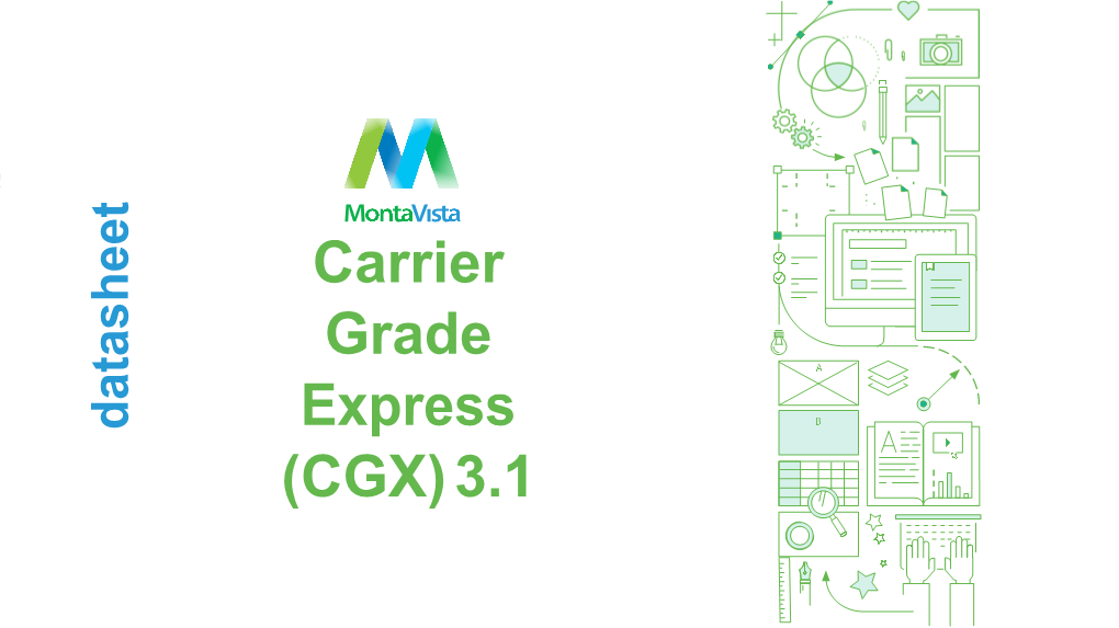 CGX Data Sheet