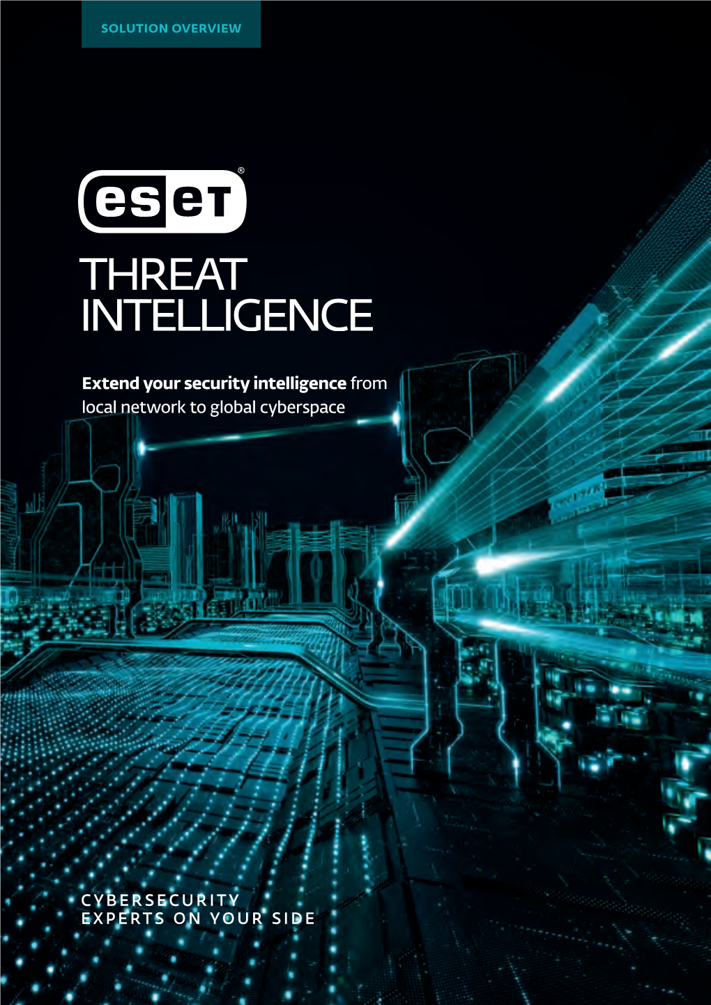 Extend Your Security Intelligence from Local Network to Global Cyberspace