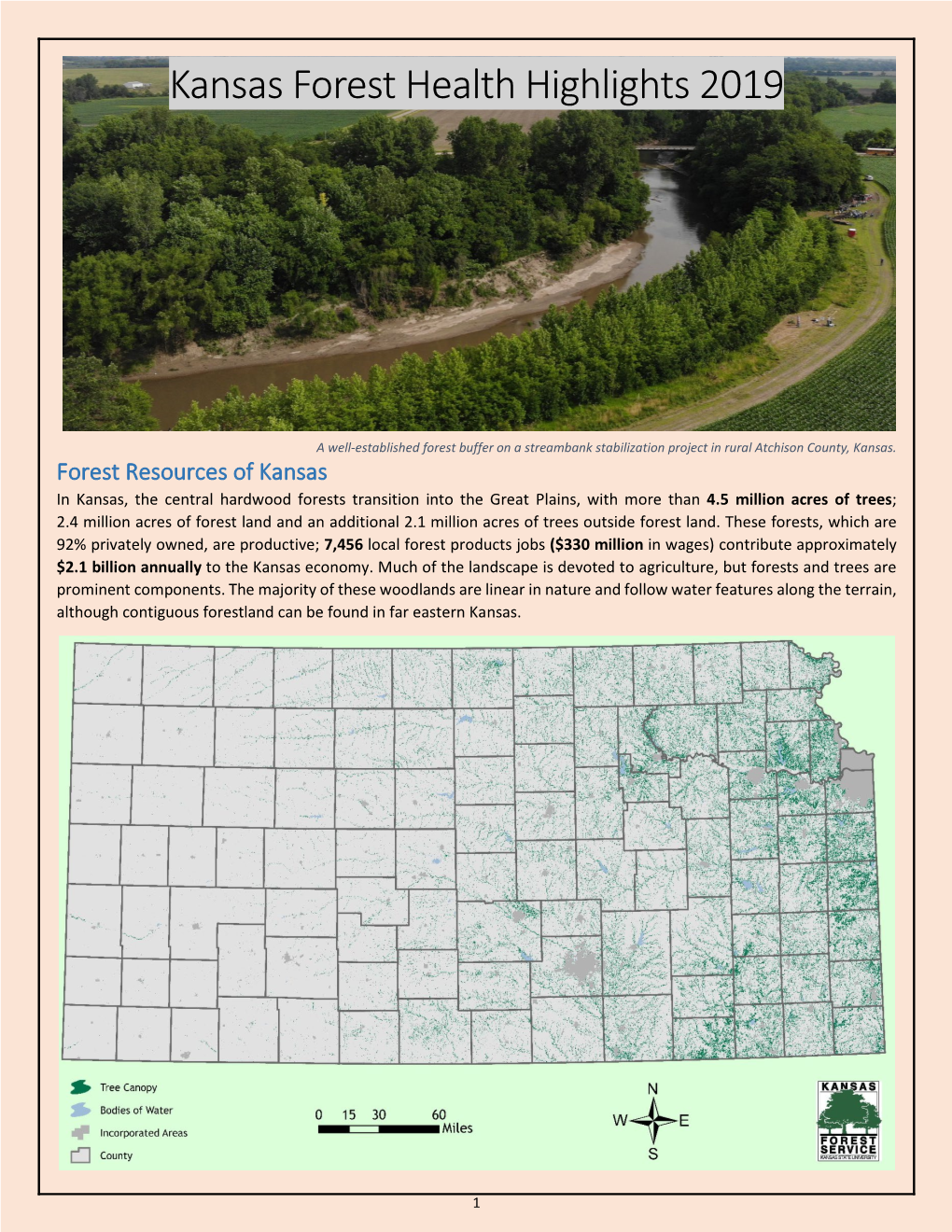 Kansas Forest Health Highlights 2019