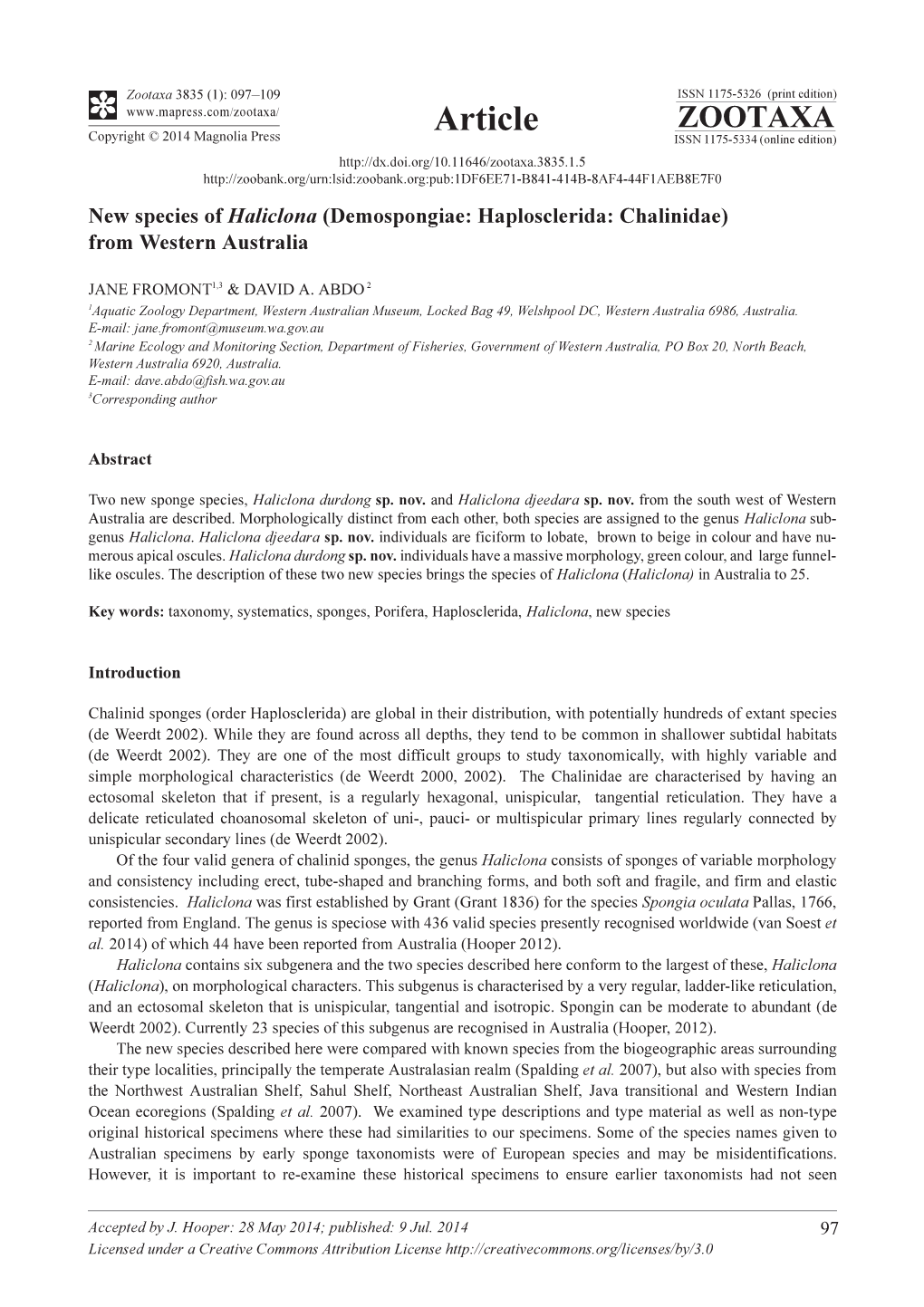 New Species of Haliclona (Demospongiae: Haplosclerida: Chalinidae) from Western Australia