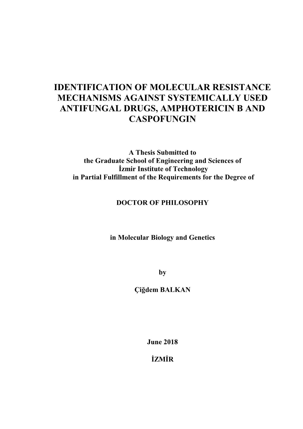 Identification of Molecular Resistance Mechanisms Against Systemically Used Antifungal Drugs, Amphotericin B and Caspofungin