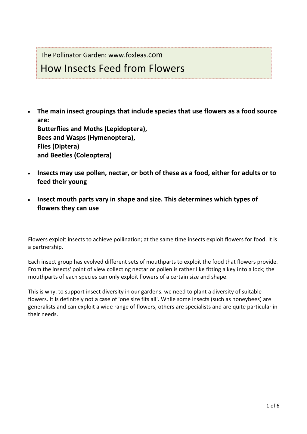 How Insects Feed from Flowers