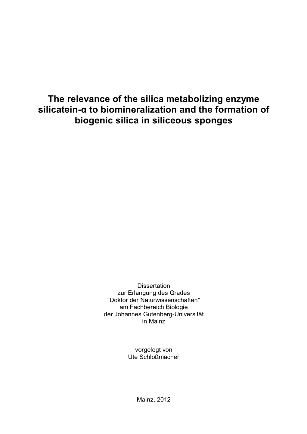 The Relevance of the Silica Metabolizing Enzyme Silicatein-Α to Biomineralization and the Formation of Biogenic Silica in Siliceous Sponges