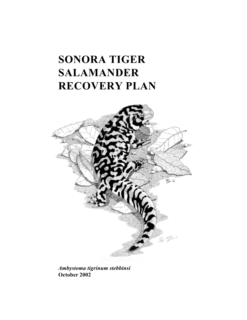 Sonora Tiger Salamander Recovery Plan