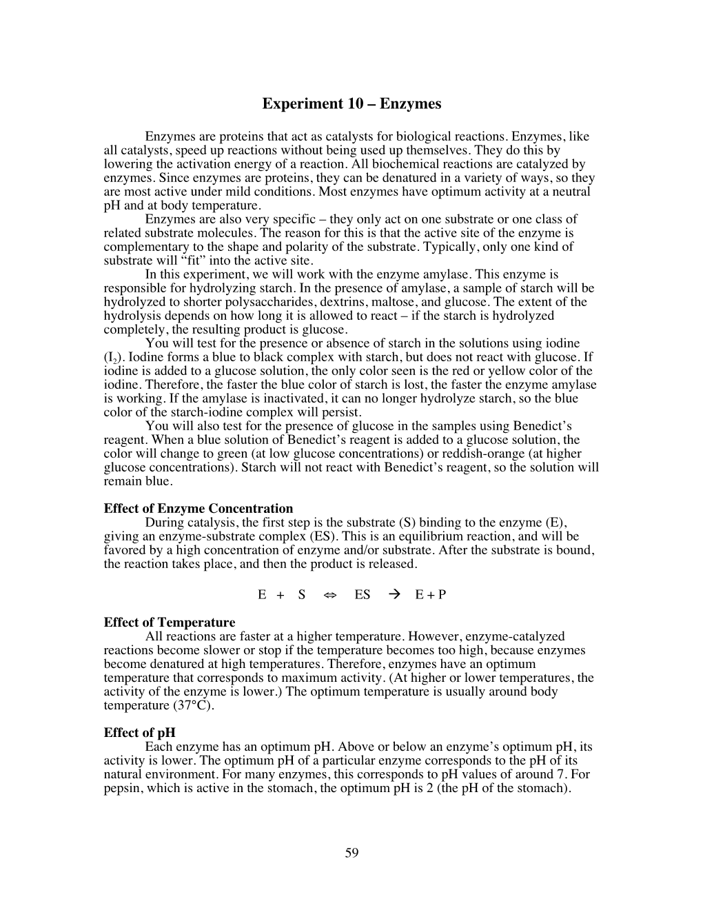 experiment 10 enzymes