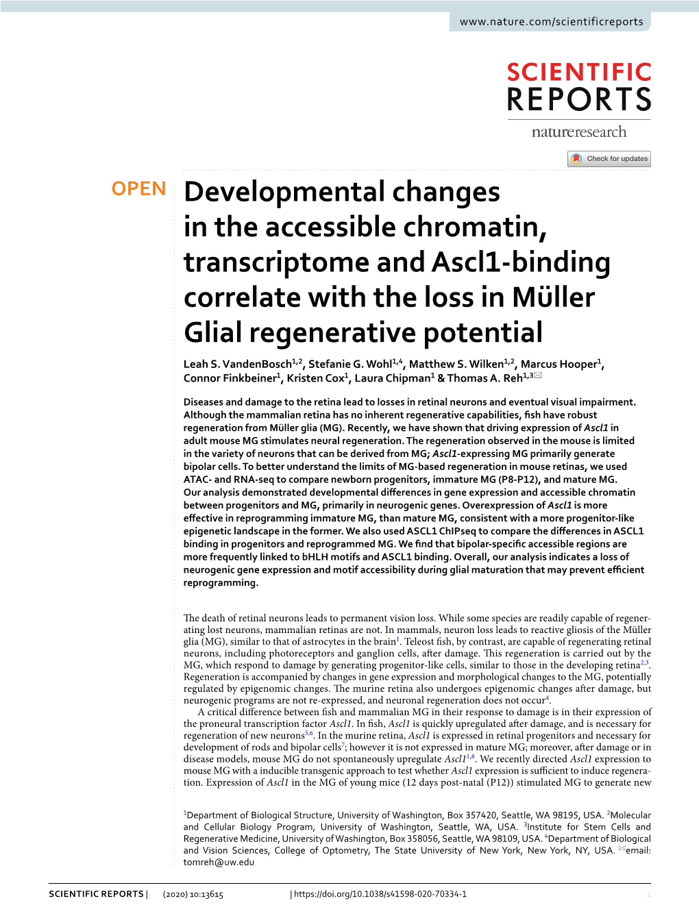 Developmental Changes in the Accessible Chromatin, Transcriptome and Ascl1‑Binding Correlate with the Loss in Müller Glial Regenerative Potential Leah S