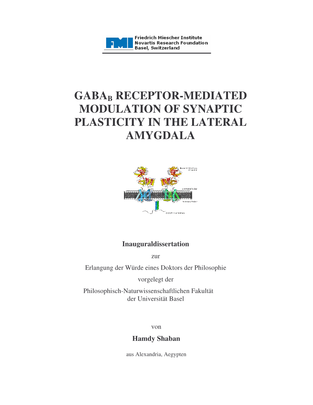 Gabab Receptor-Mediated Modulation of Synaptic