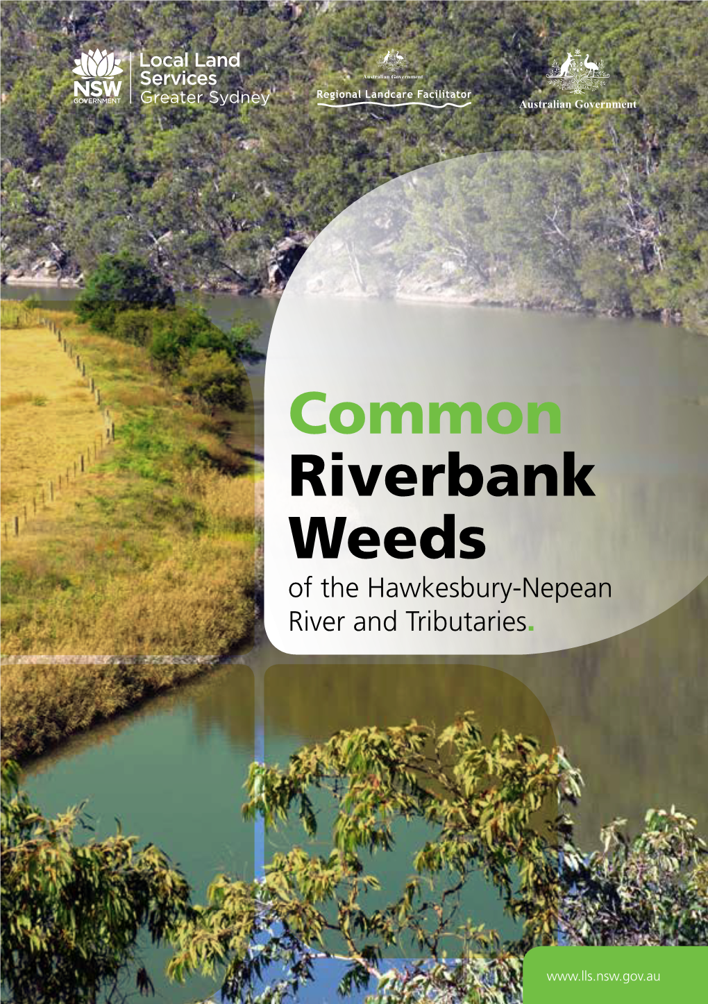 Common Riverbank Weeds of the Hawkesbury-Nepean River and Tributaries