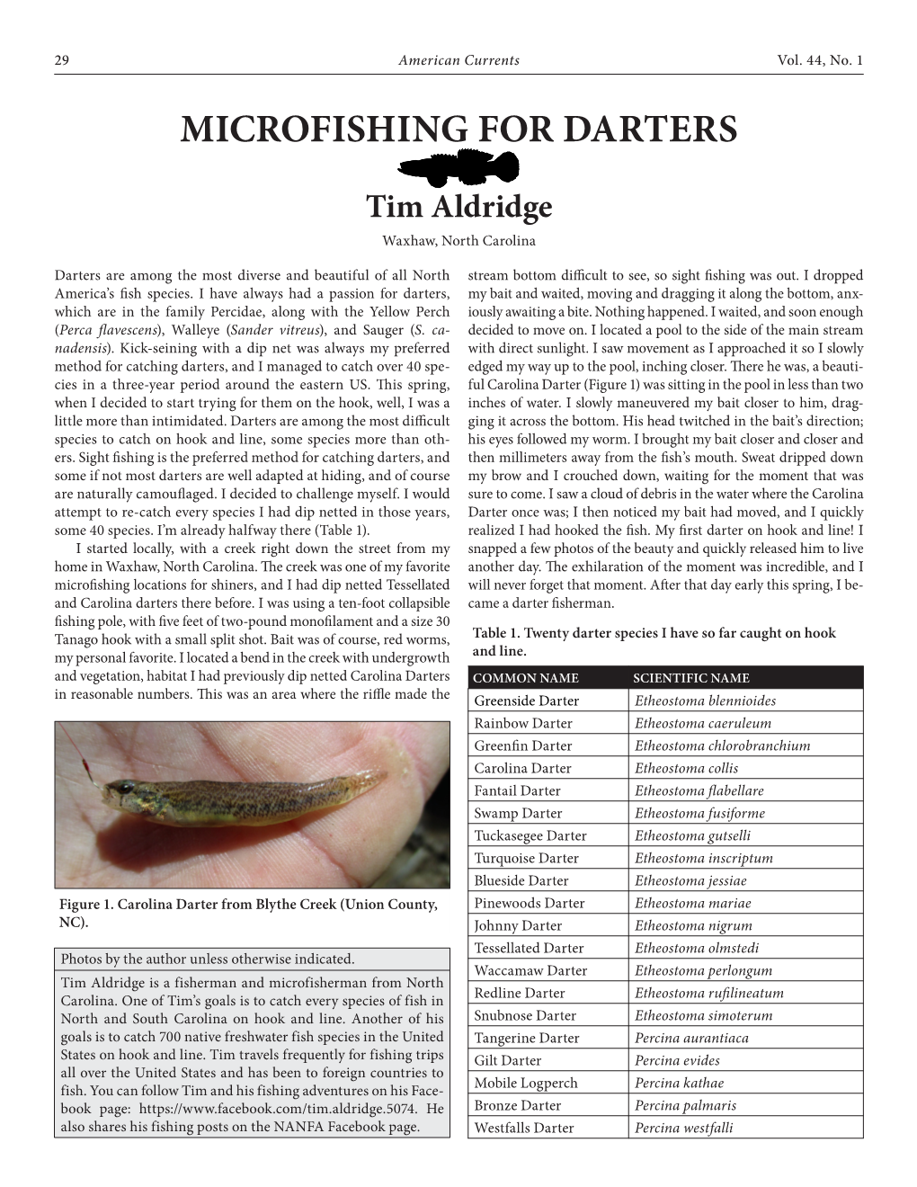 Microfishing for Darters Tim Aldridge