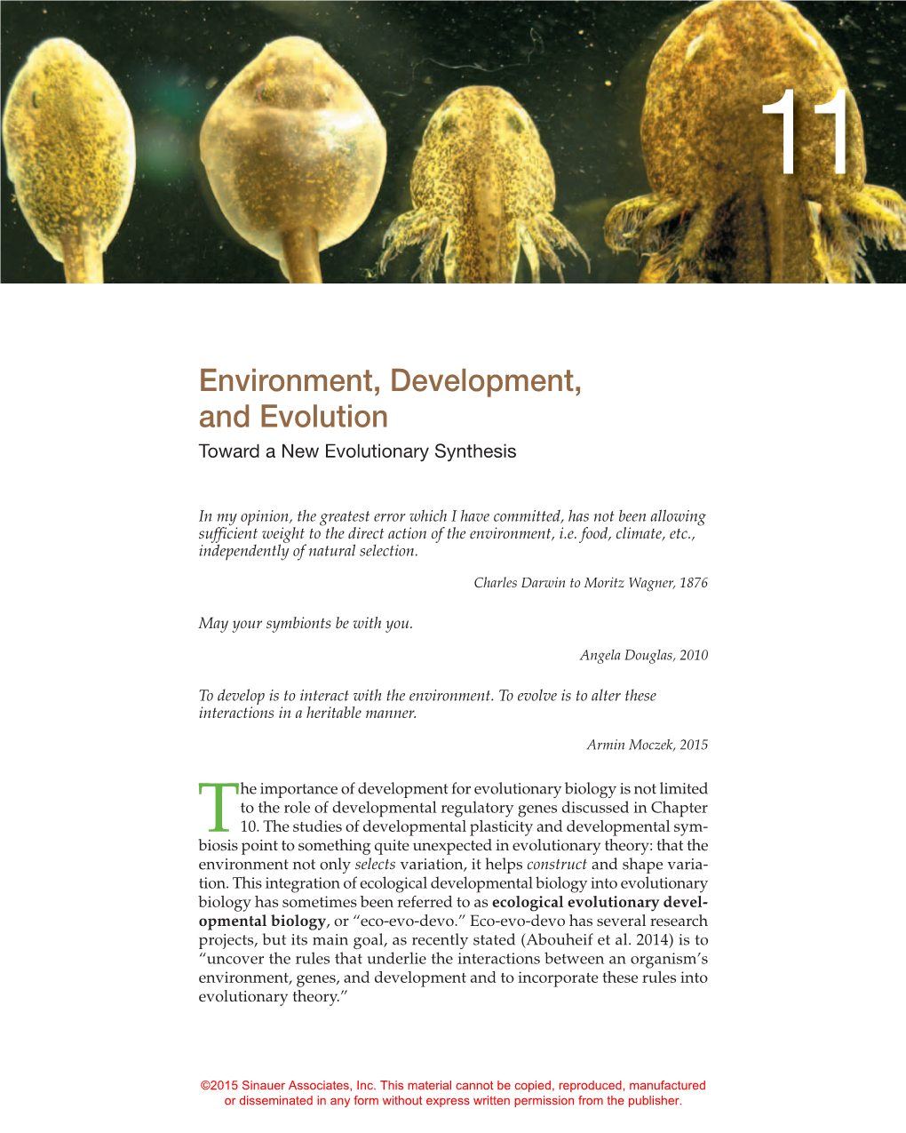 Environment, Development, and Evolution Toward a New Evolutionary Synthesis