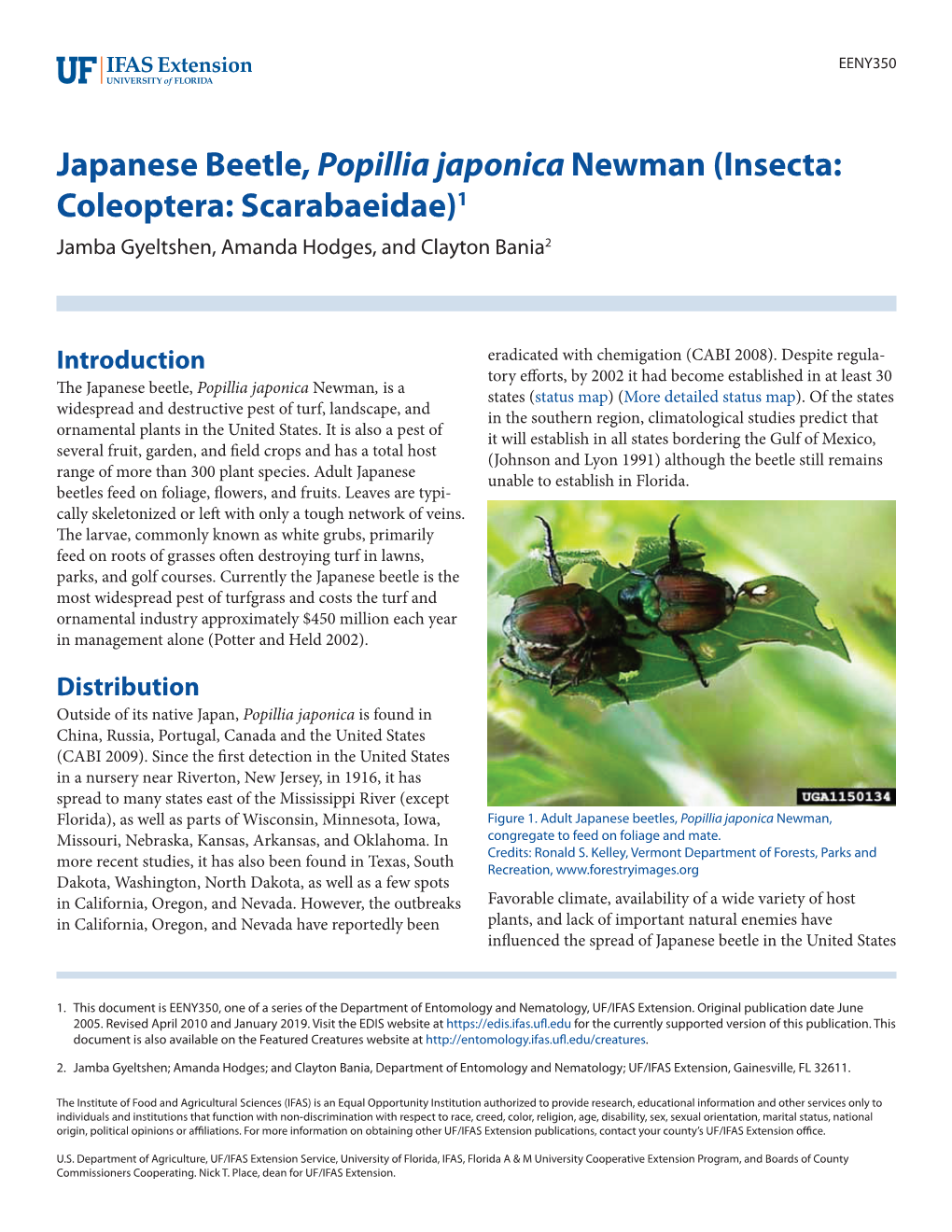 Japanese Beetle, Popillia Japonica Newman (Insecta: Coleoptera: Scarabaeidae)1 Jamba Gyeltshen, Amanda Hodges, and Clayton Bania2