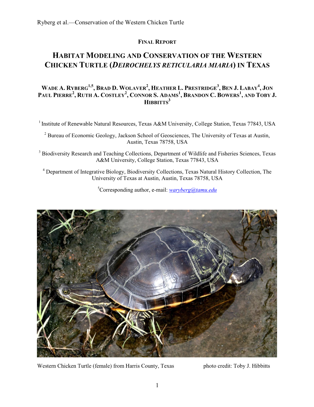 Habitat Modeling and Conservation of the Western Chicken Turtle (Deirochelys Reticularia Miaria) in Texas