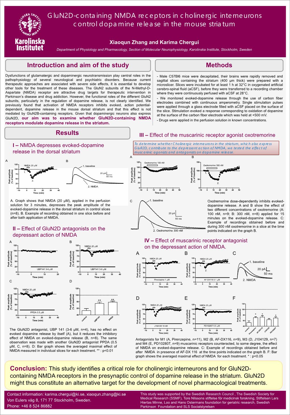 Glun2d-Containing NMDA Receptors in Cholinergic Interneurons Control Dopamine Release in the Mouse Striatum