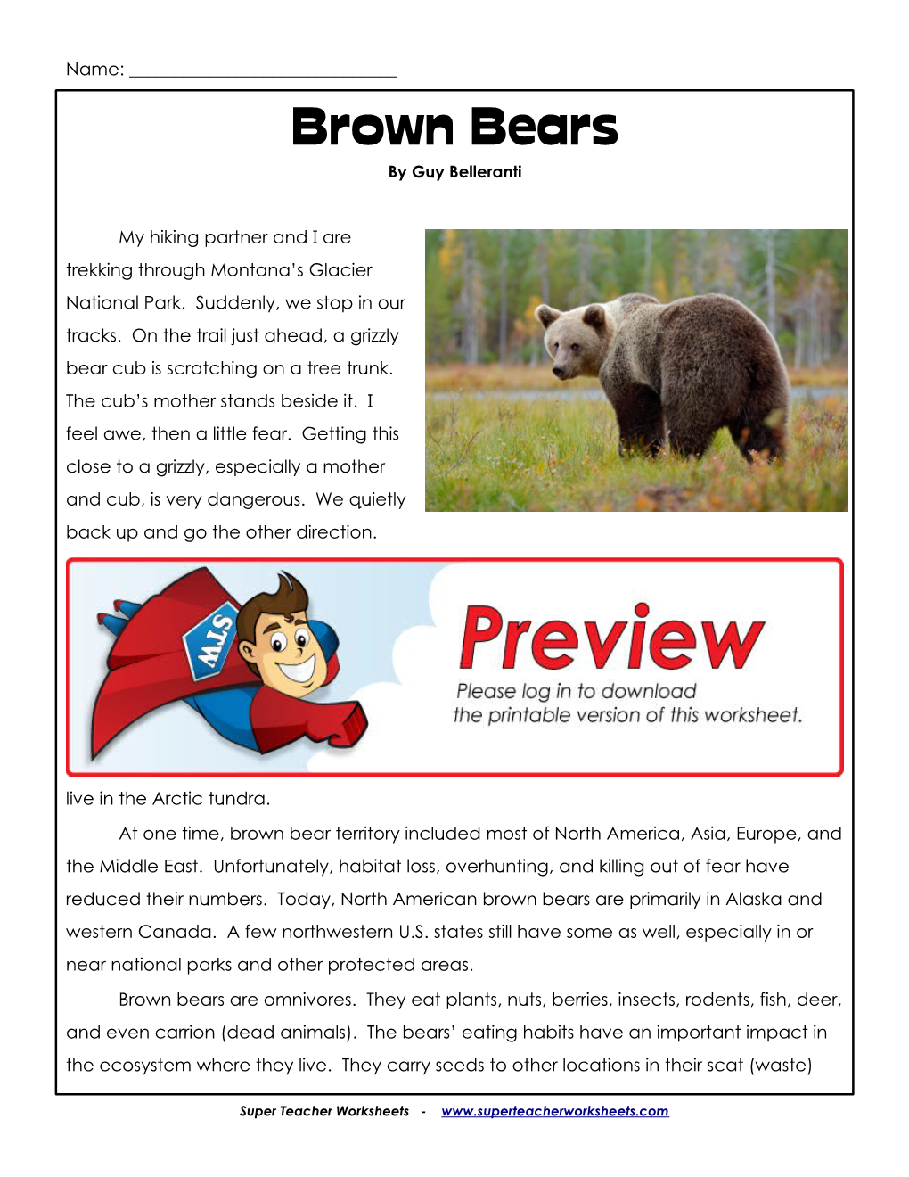 Brown Bears by Guy Belleranti