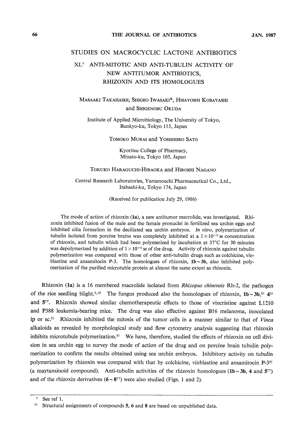 Rhizoxin (La) Is a 16 Membered Macrolide Isolated from Rhizopus