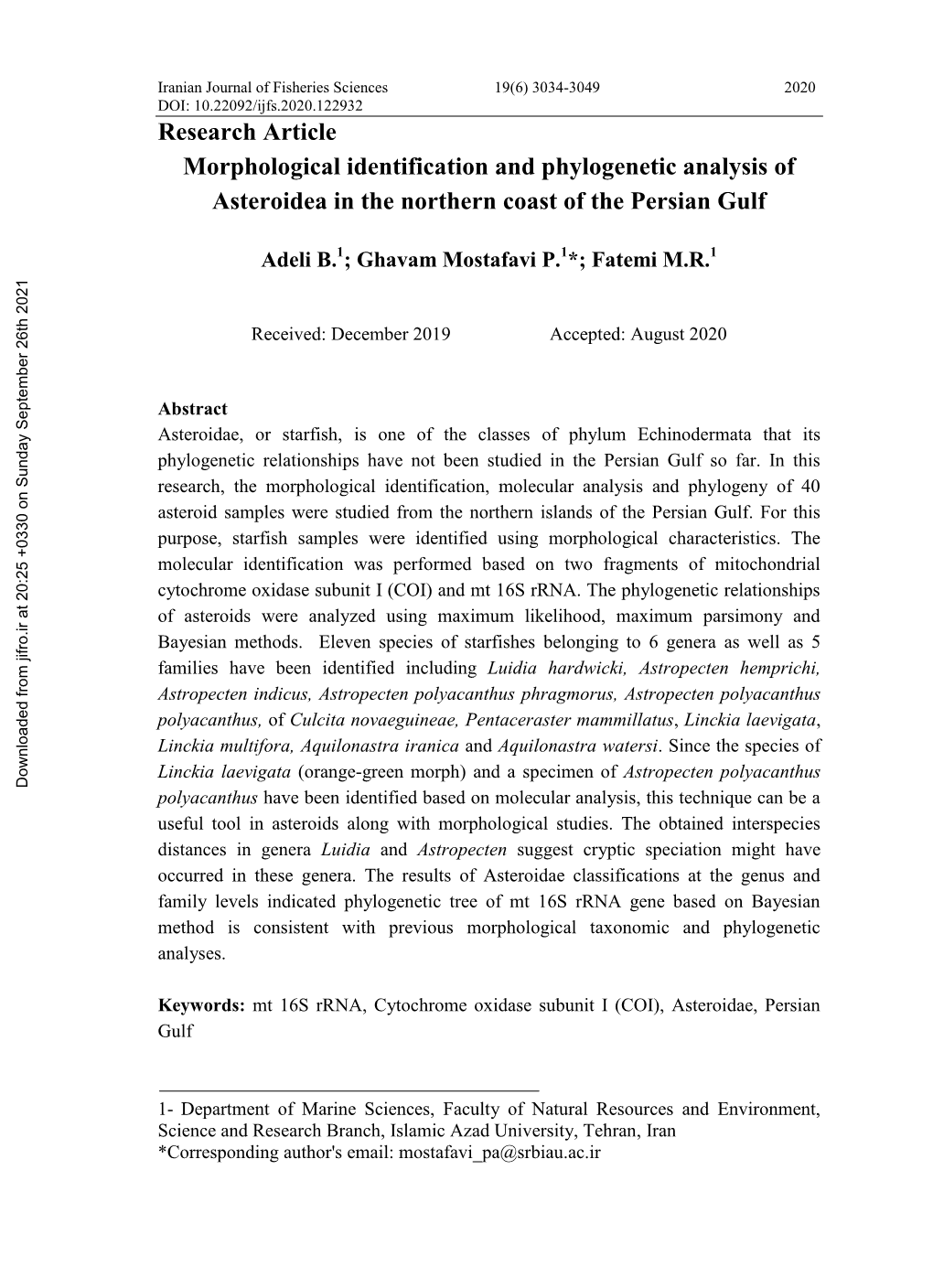 Morphological Identification and Phylogenetic Analysis of Asteroidea in the Northern Coast of the Persian Gulf