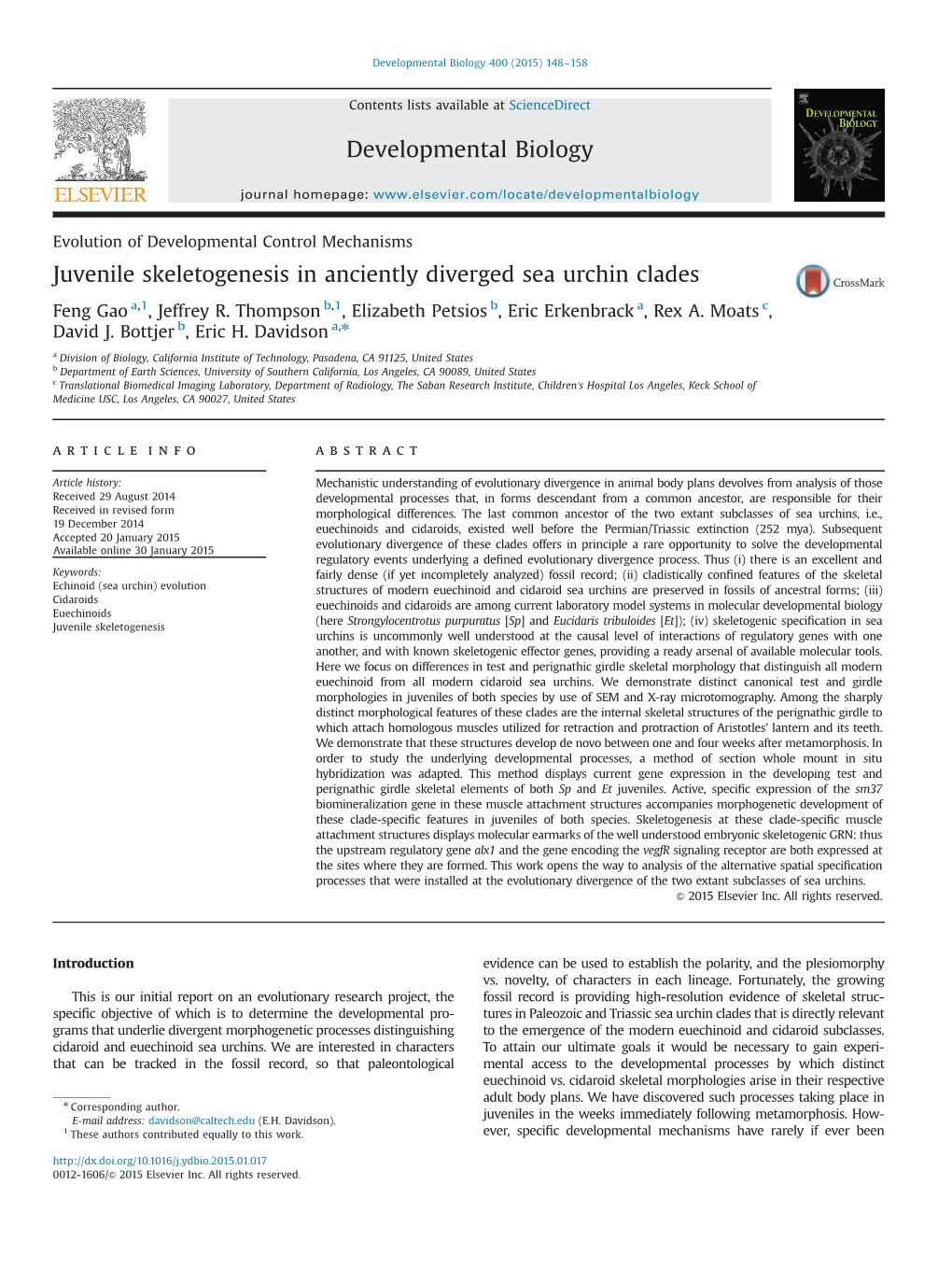 Juvenile Skeletogenesis in Anciently Diverged Sea Urchin Clades