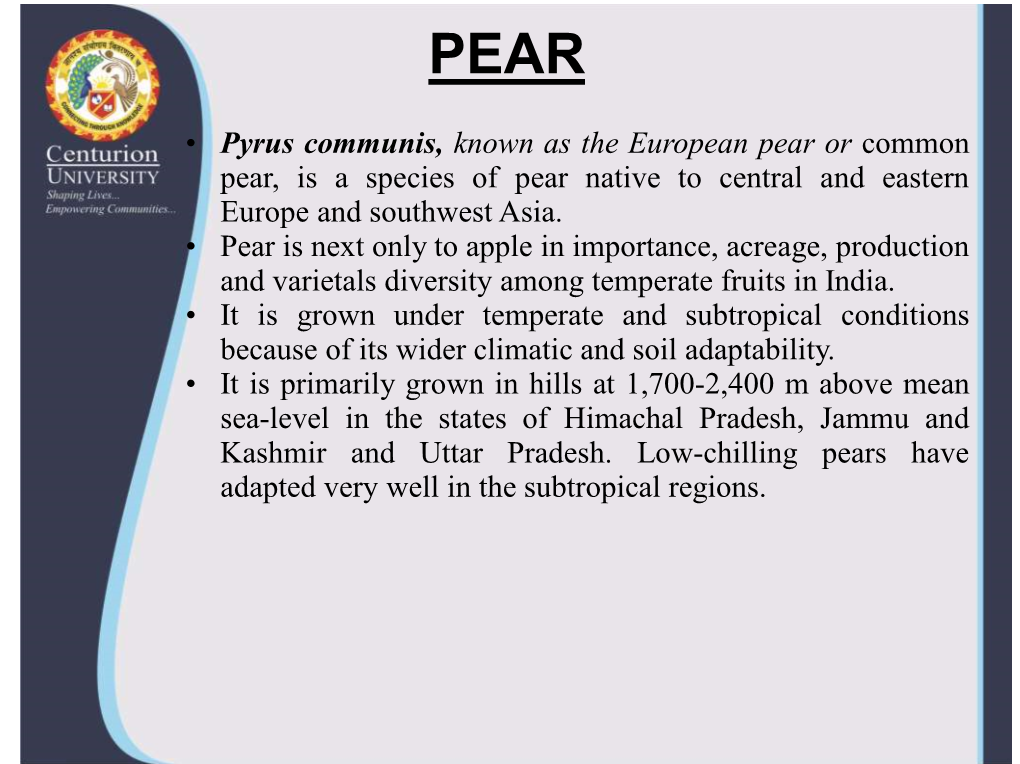 Pyrus Communis, Known As the European Pear Or Common Pear, Is a Species of Pear Native to Central and Eastern Europe and Southwest Asia