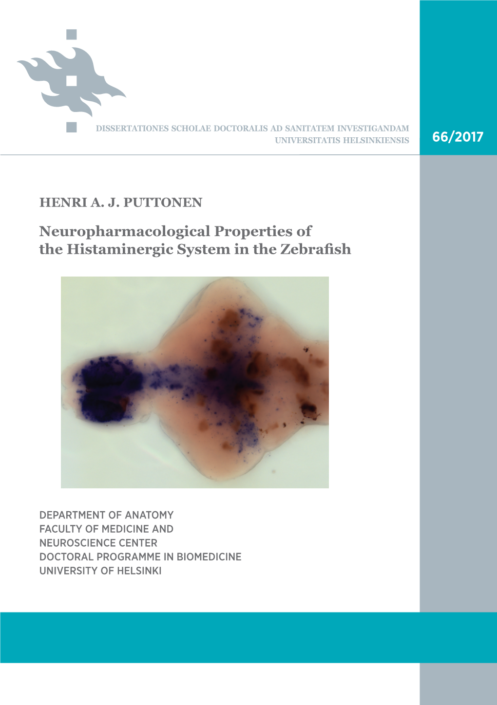 Neuropharmacological Properties of the Histaminergic System in the Recent Publications in This Series