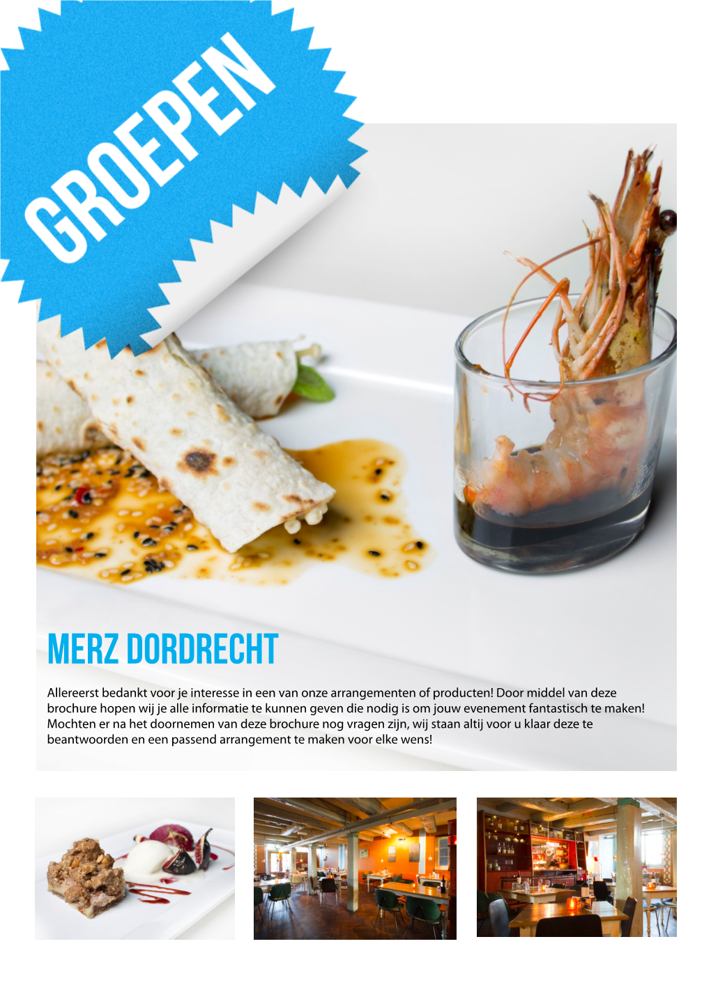 140311 Rauwe Opzet Groepen Brochure