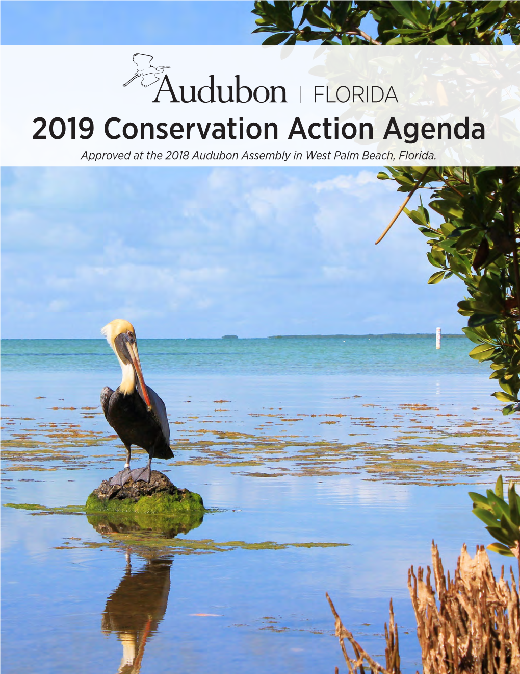 2019 Conservation Action Agenda Approved at the 2018 Audubon Assembly in West Palm Beach, Florida