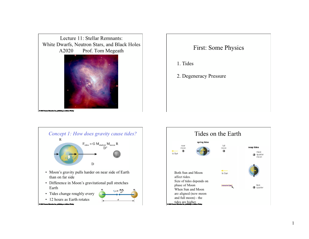 White Dwarfs, Neutron Stars and Black Holes