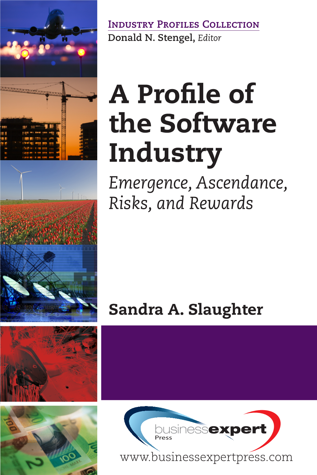 A Profile of the Software Industry: Emergence, Ascendance, Risks, and Rewards Copyright © Business Expert Press, LLC, 2014