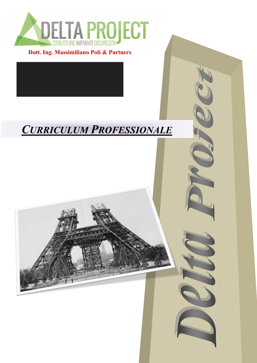 Curriculum Professionale