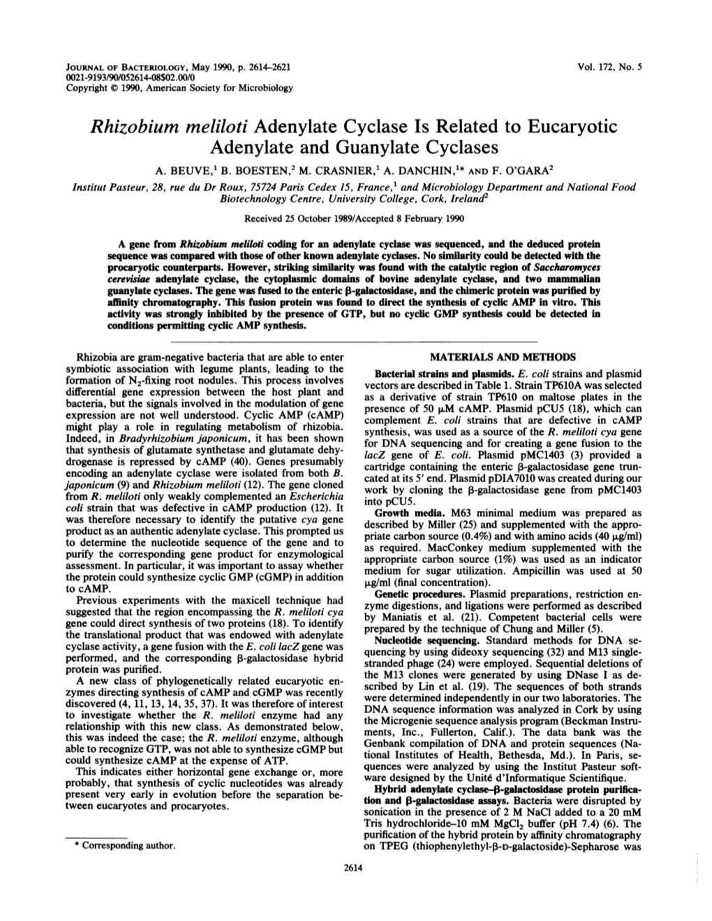 Rhizobium Meliloti Adenylate Cyclase Is Related to Eucaryotic Adenylate and Guanylate Cyclases A