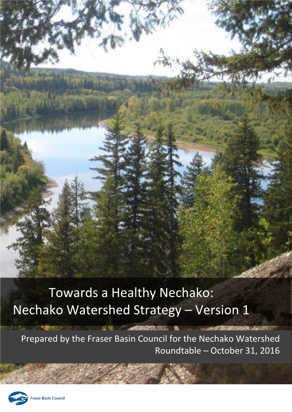 Nechako Watershed Strategy – Version 1
