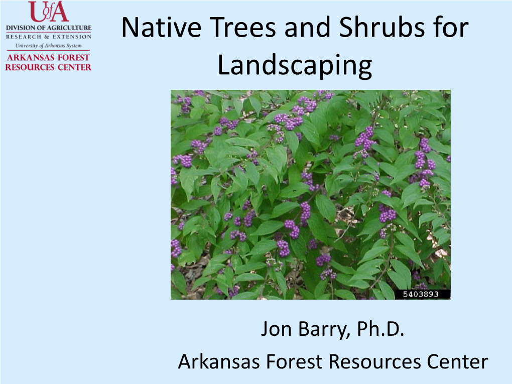 Native Trees and Shrubs for Landscaping