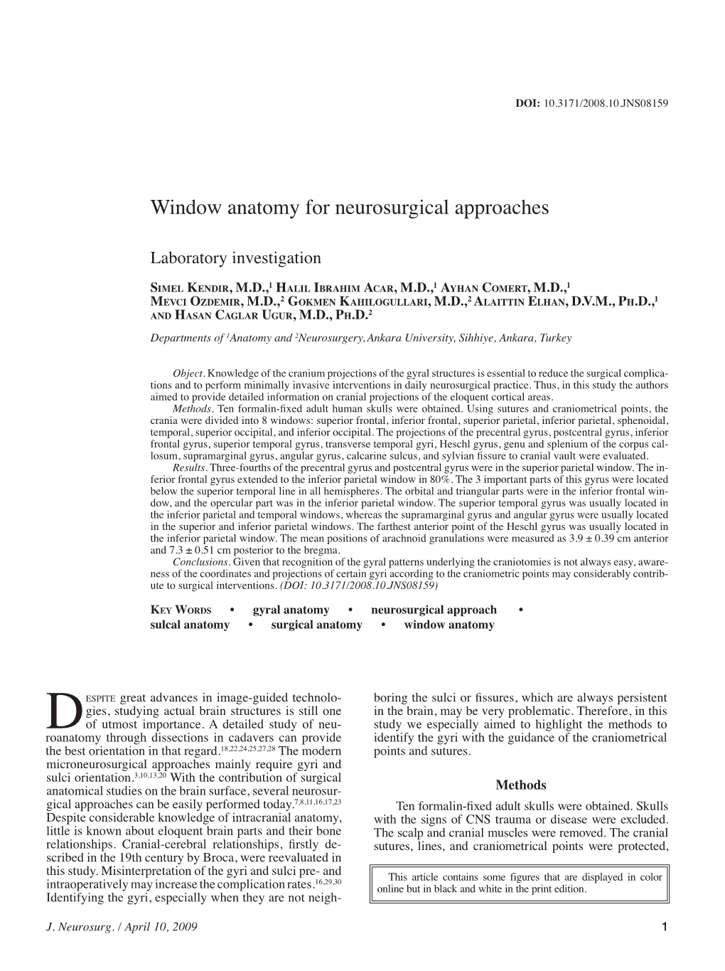 Window Anatomy for Neurosurgical Approaches