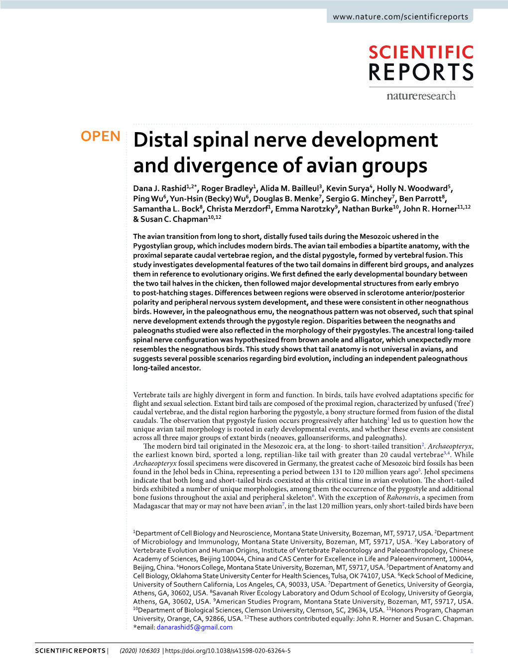 Distal Spinal Nerve Development and Divergence of Avian Groups Dana J