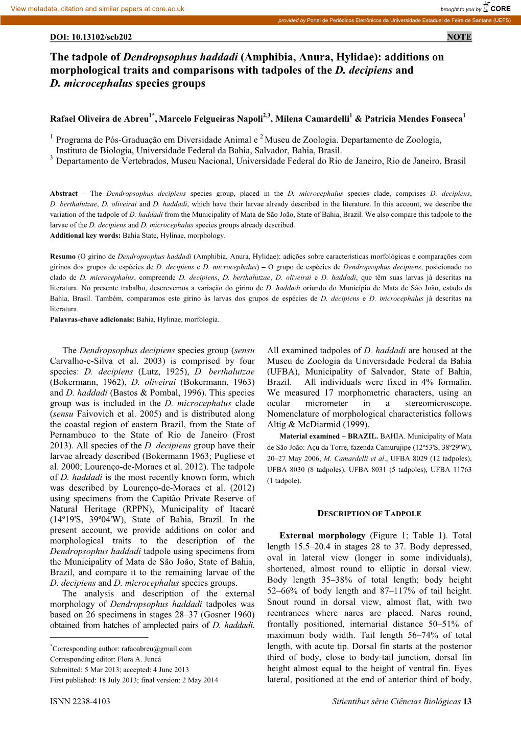 The Tadpole of Dendropsophus Haddadi (Amphibia, Anura, Hylidae): Additions on Morphological Traits and Comparisons with Tadpoles of the D