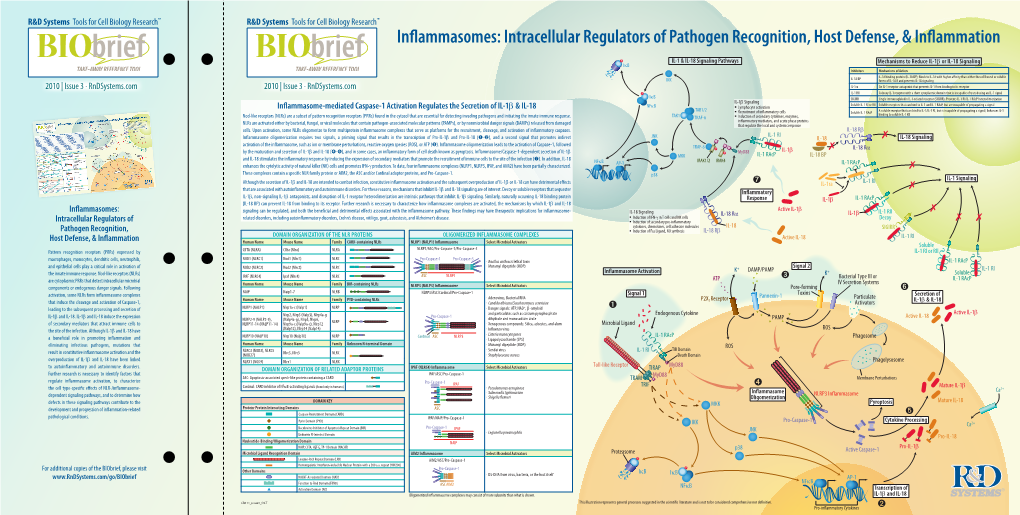 Inflammasomes: Intracellular Regulators of Pathogen Recognition, Host Defense, & Inflammation