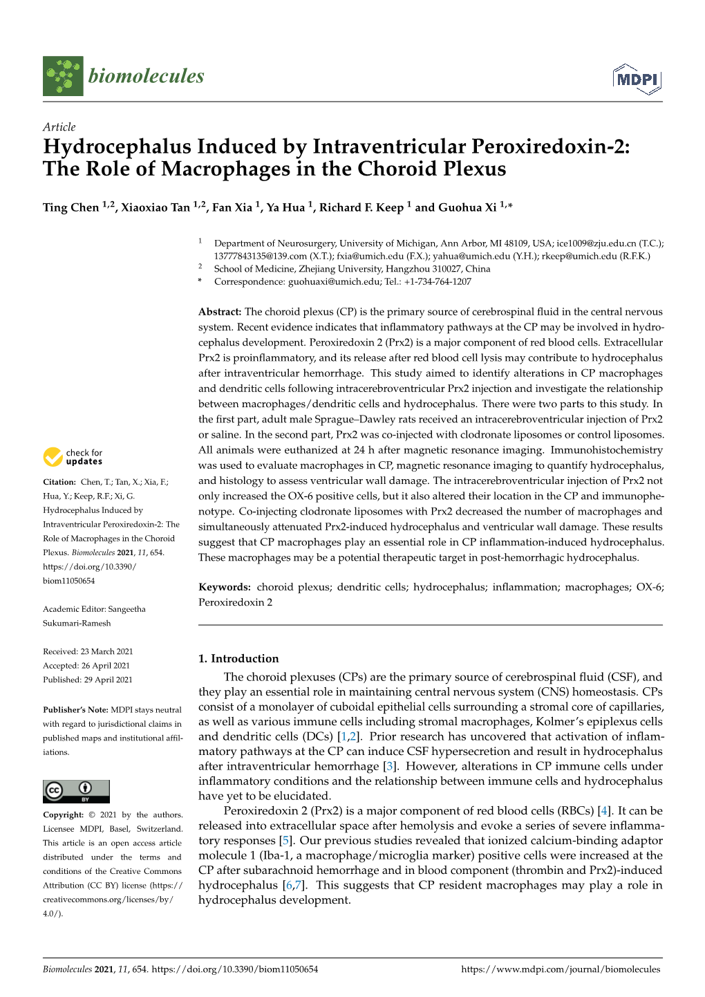 The Role of Macrophages in the Choroid Plexus