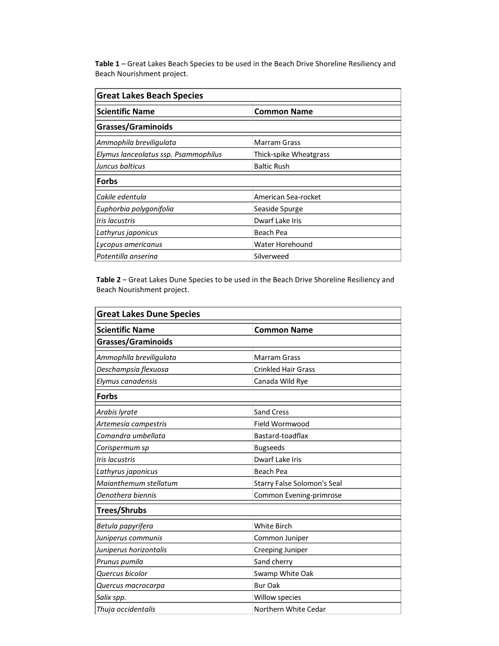 Great Lakes Dune Species to Be Used in the Beach Drive Shoreline Resiliency and Beach Nourishment Project