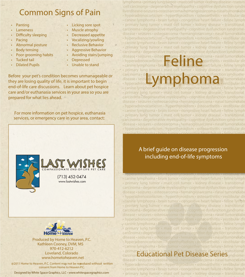 Feline Lymphoma