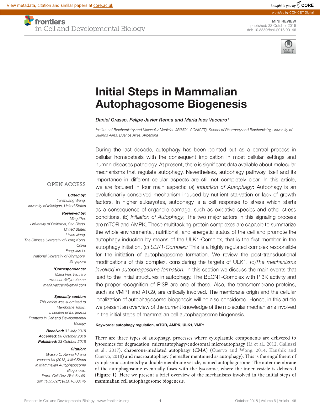Initial Steps in Mammalian Autophagosome Biogenesis