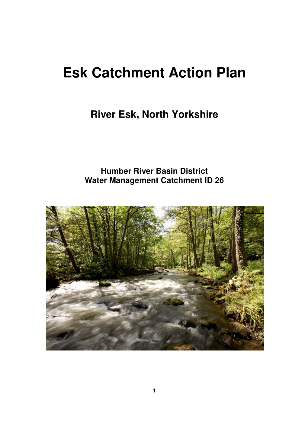 Esk Catchment Action Plan