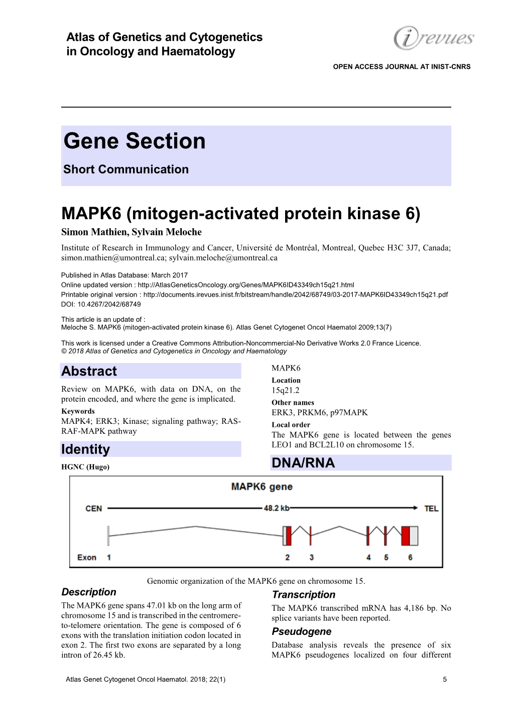 MAPK6 (Mitogen-Activated Protein Kinase 6)