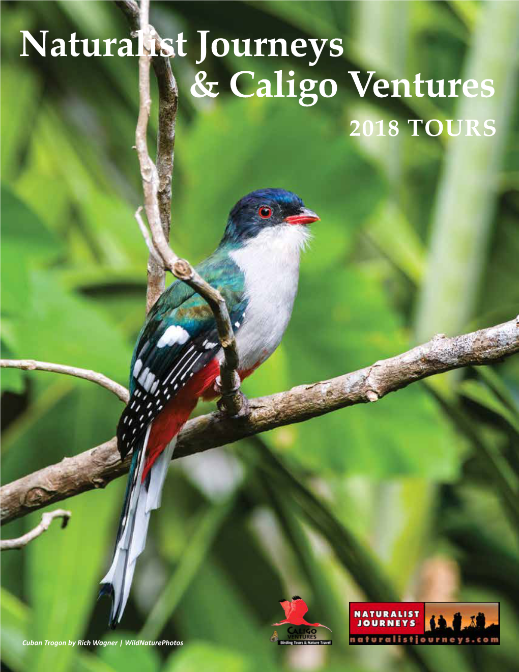 Naturalist Journeys & Caligo Ventures