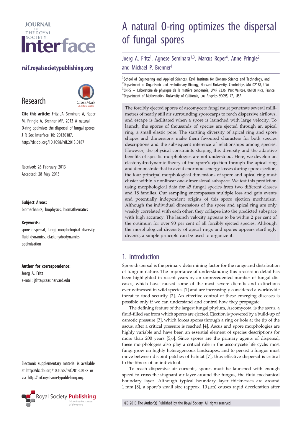 A Natural O-Ring Optimizes the Dispersal of Fungal Spores