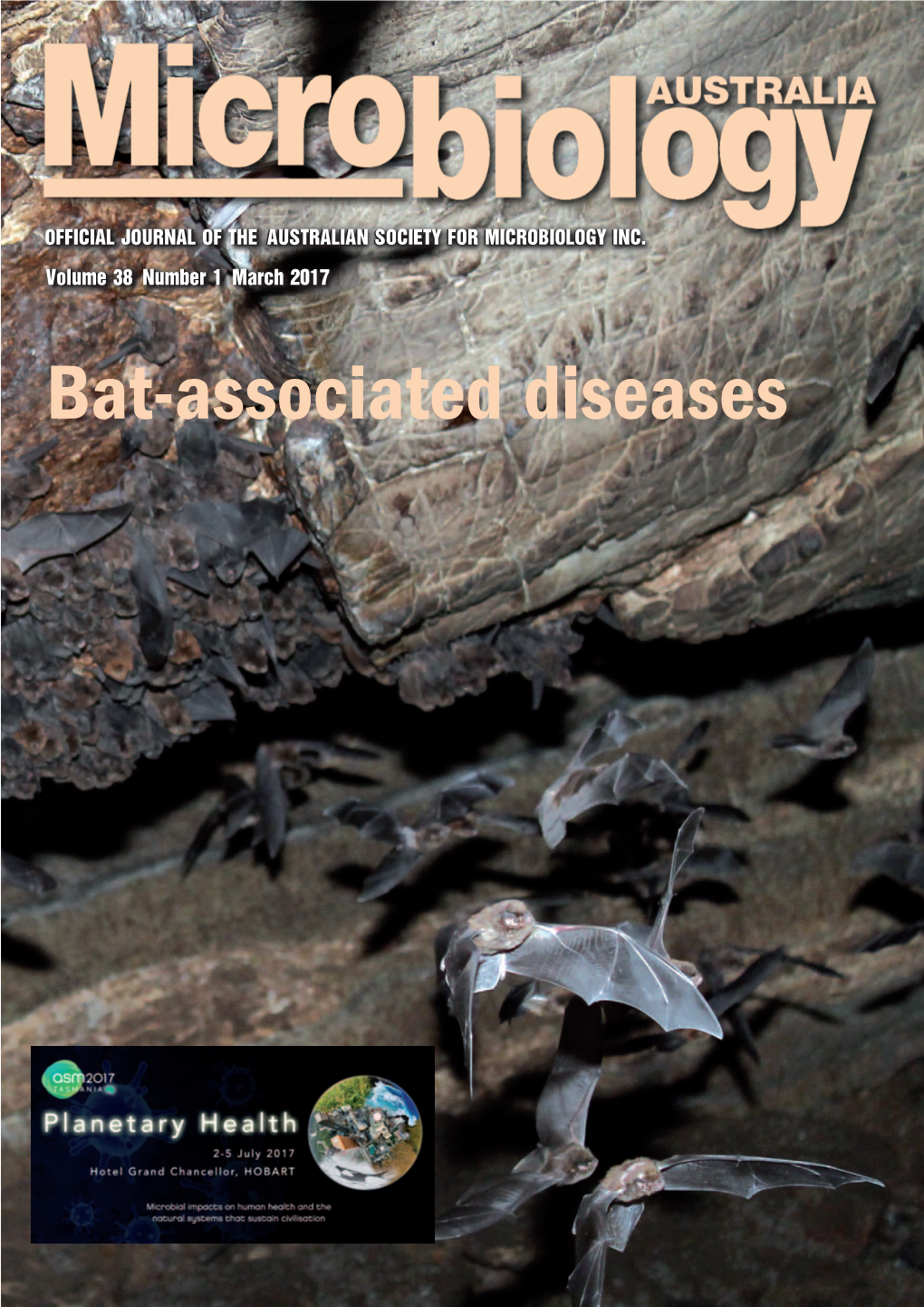 Bat-Associated Diseases Now Available