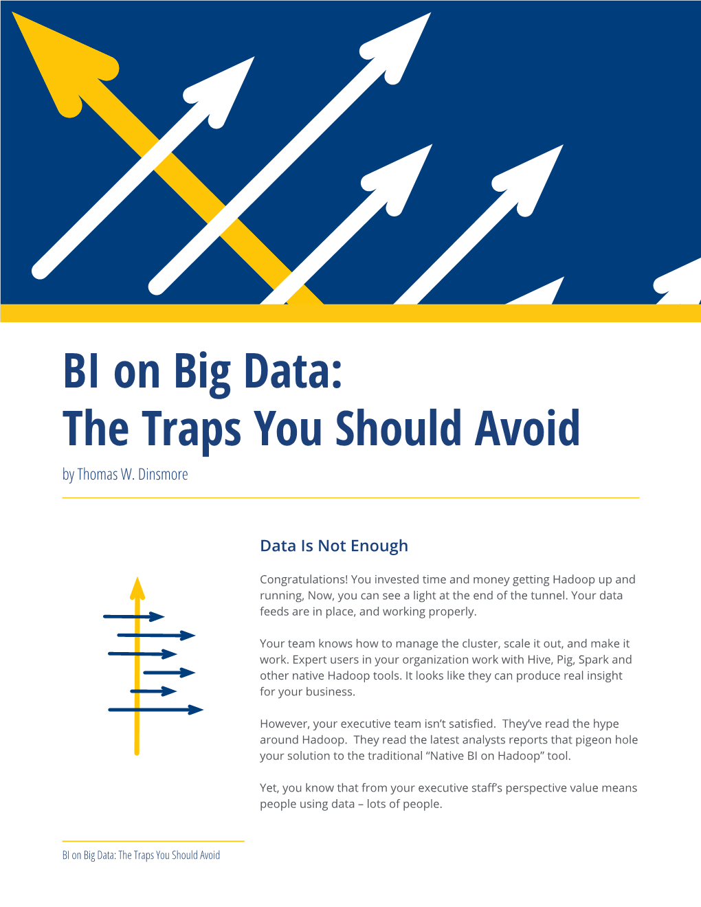 BI on Big Data