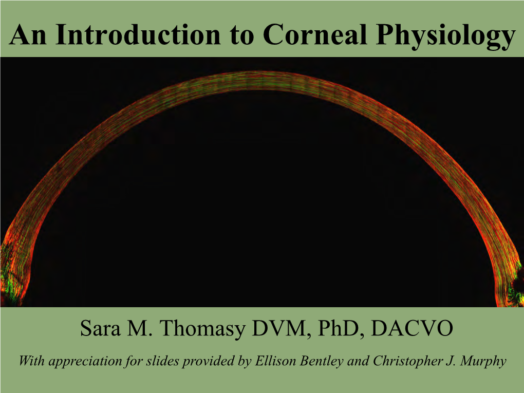 An Introduction to Corneal Physiology